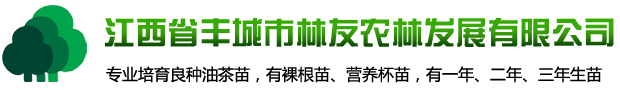 油茶苗_油茶苗價(jià)格_高產(chǎn)油茶苗批發(fā) - 豐城市林友農(nóng)林發(fā)展有限公司