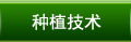 種植技術(shù)
