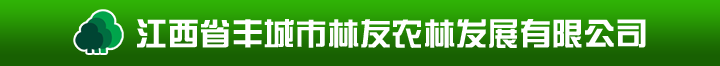 油茶苗_油茶苗價(jià)格_高產(chǎn)油茶苗批發(fā) - 豐城市林友農(nóng)林發(fā)展有限公司