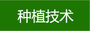 種植技術(shù)